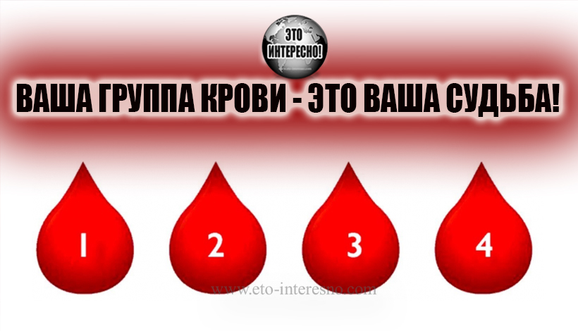 1 группа крови характер. Группа крови. Группы крови человека. 1 Группа крови. 2 Группа крови.